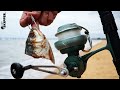 Beach Fishing w/ BIG BAIT! What will we catch? Classic Beach Fishing Methods