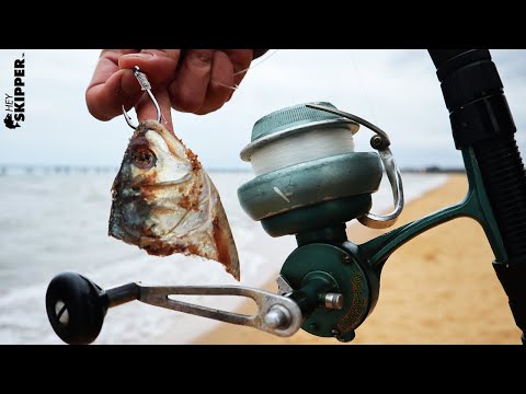 Beach Fishing w/