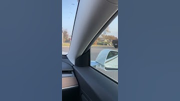 Ducks Crossing The Road!