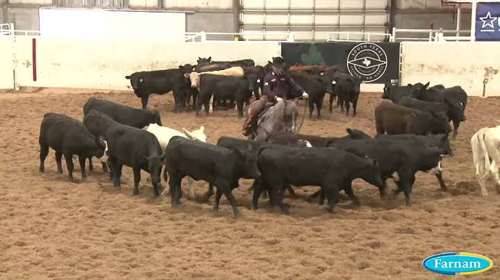 210428 Open Derby Herd Christian Lybbert on Metall...