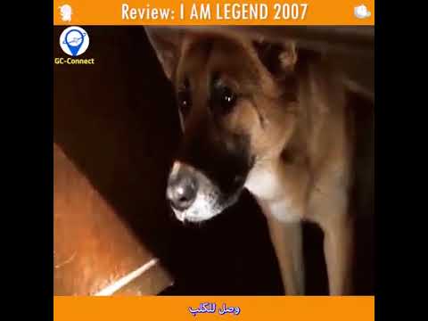 رجل وحيد في المدينة ضد الزومبي