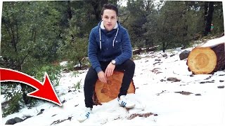 EN BUSCA DE NIEVE