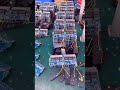 Mini Industrial 5-Port PoE Switch