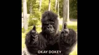 Ai Mangiato La Mia Banana Ora Ti Banano