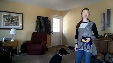 Intro to Remote Collars and Finding the Working Level