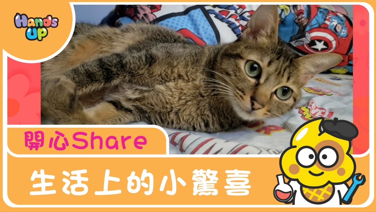 生活上的小驚喜｜開心Share｜Hands Up