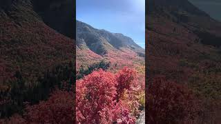 Valley of autumn leaves #mountains #autumn #utah #valley #dirtroads