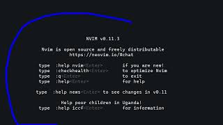 Why EVERYONE is Switching from VS Code to Neovim It's Actually INSANE!