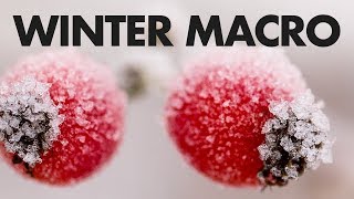 Winter Macro Photography with the Tamron 90mm f2.8