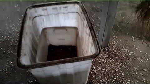 Plastic color sorter for PET, to get green flakes, e-mail: focusee.tech@gmail.com