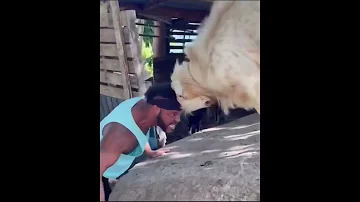 Guy Goes Head To Head With A Goat 