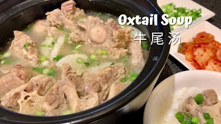 Easy Oxtail Soup, simply delicious❗️牛尾汤 原来鲜美可以如此简单