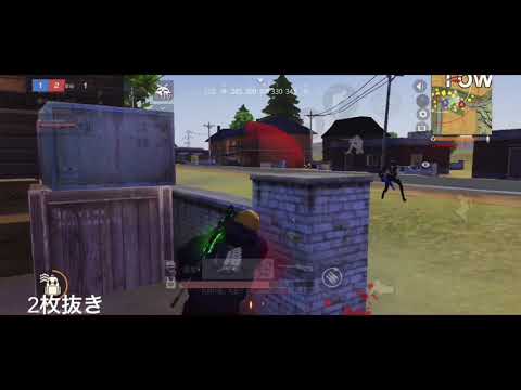 【荒野行動】LeeEvër によるキル集