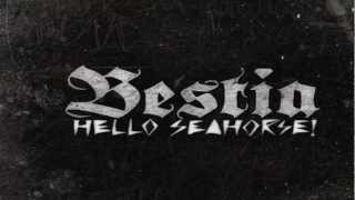 Hello Seahorse! - Recuerdo