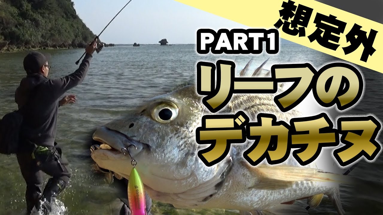 リーフでトップチヌしたら想定外のデカいのが釣れた ルアー ミナミクロダイ Youtube リーフでトップチヌしたら想定外のデカいのが釣れた ルアー ミナミクロダイ Youtube