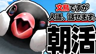 【朝活/初見歓迎】朝から！圧かけます！【新人VTuber】