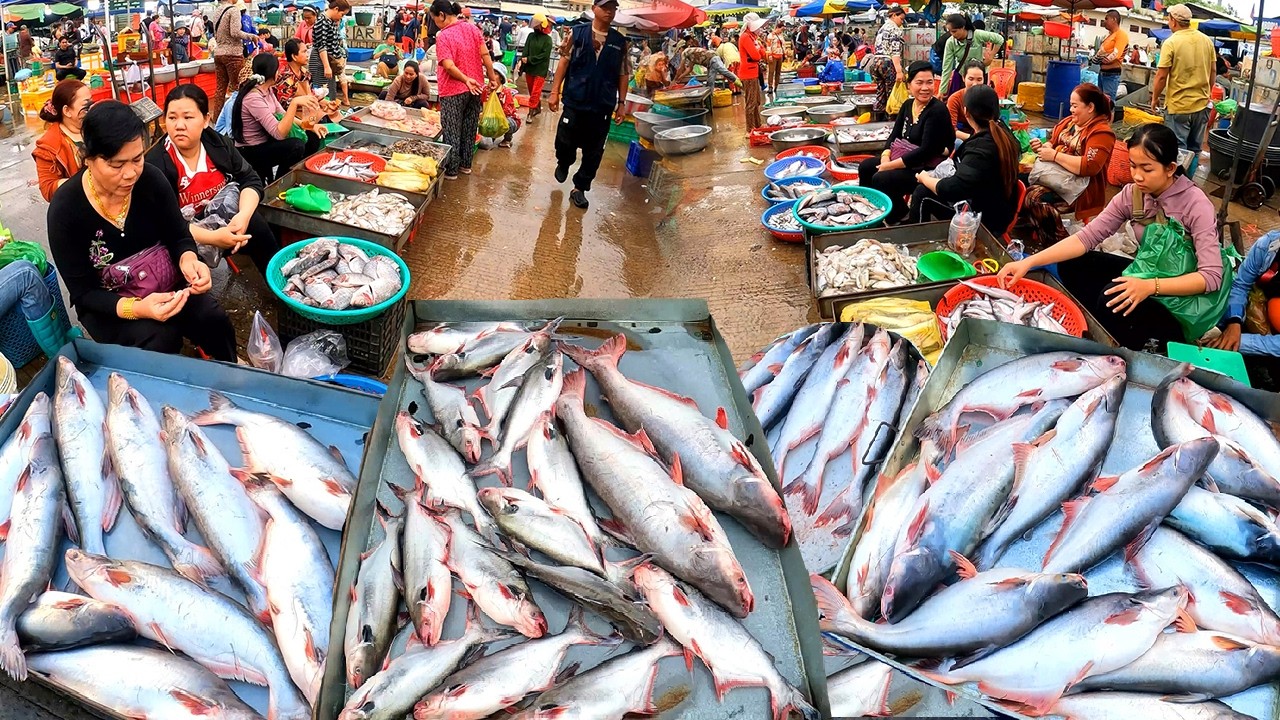 Cambodia Fish Distribution Market Activities, Fresh Food Market, Boeung Trabek Market, Phnom Penh