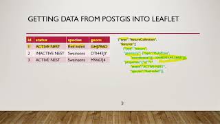 Working with PostGIS data in Leaflet: Part 1
