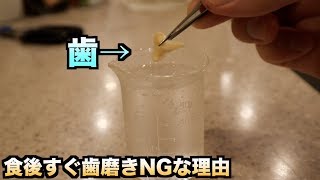 【危険】食後すぐ歯を磨いてはいけない理由がわかる動画