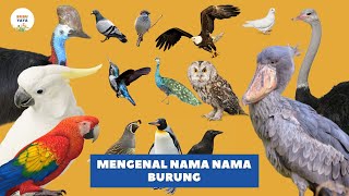 Belajar Mengenal Nama Nama Burung dan Suaranya | Bahasa Indonesia Bahasa Inggris |Video Edukasi Anak