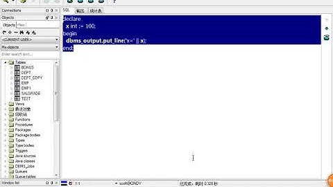 Java Web进阶 Oracle 49 PLSQL程序块结构