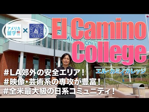 アメリカ留学おすすめコミュニティカレッジ「エルカミノカレッジ」(El Camino College)