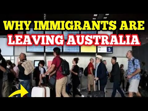 Why Immigrants Are
