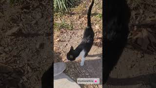 چقدر نازی آخه