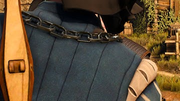 The Witcher 3 ( graphics Glitch)