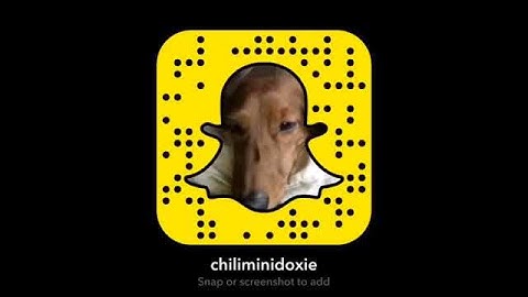 NEW SNAPCODE