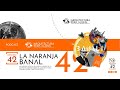 EP42 La Naranja Banal - La Economia Naranja desde su parte más ácida (CO)