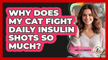 Why Does My Cat Fight Daily Insulin Shots So Much? - Happy Cat Handbook