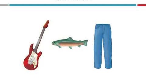 Module 4B Levels of Categorization