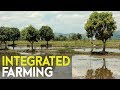 Integrated Farming: Jeepney Driver in Manila - Went Back to Province Turned Very Successful Farmer