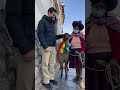 Mi novio francés conociendo Perú 🇵🇪 #peru #parejainternacional #internationalcouple #viral