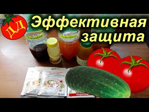 БИОЛОГИЧЕСКАЯ ЗАЩИТА РАСТЕНИЙ ОТ БОЛЕЗНЕЙ