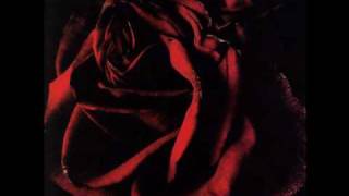 Rosanne Cash - God is in the Roses