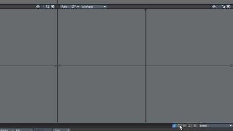 LightWave UI - Vertex Maps, New (X)