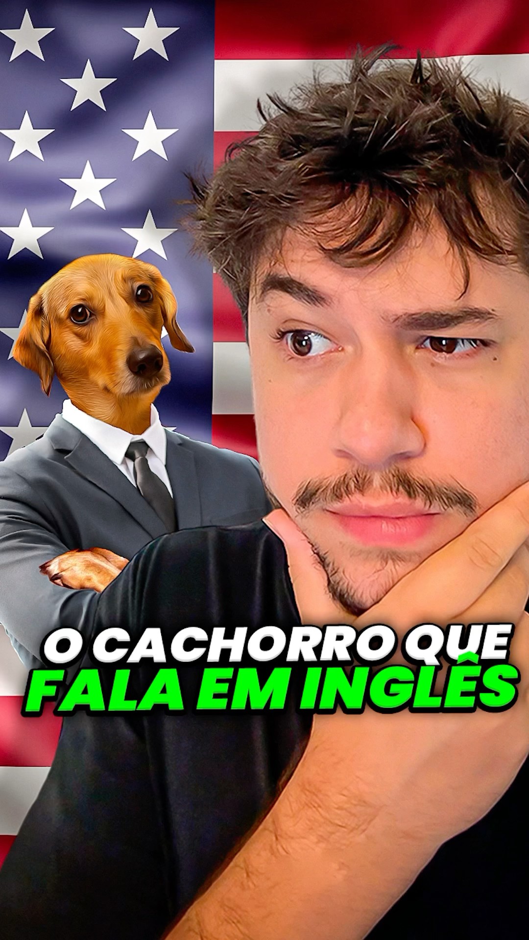cachorro que fala inglês #livedobrino #humor #MundinhoBrino