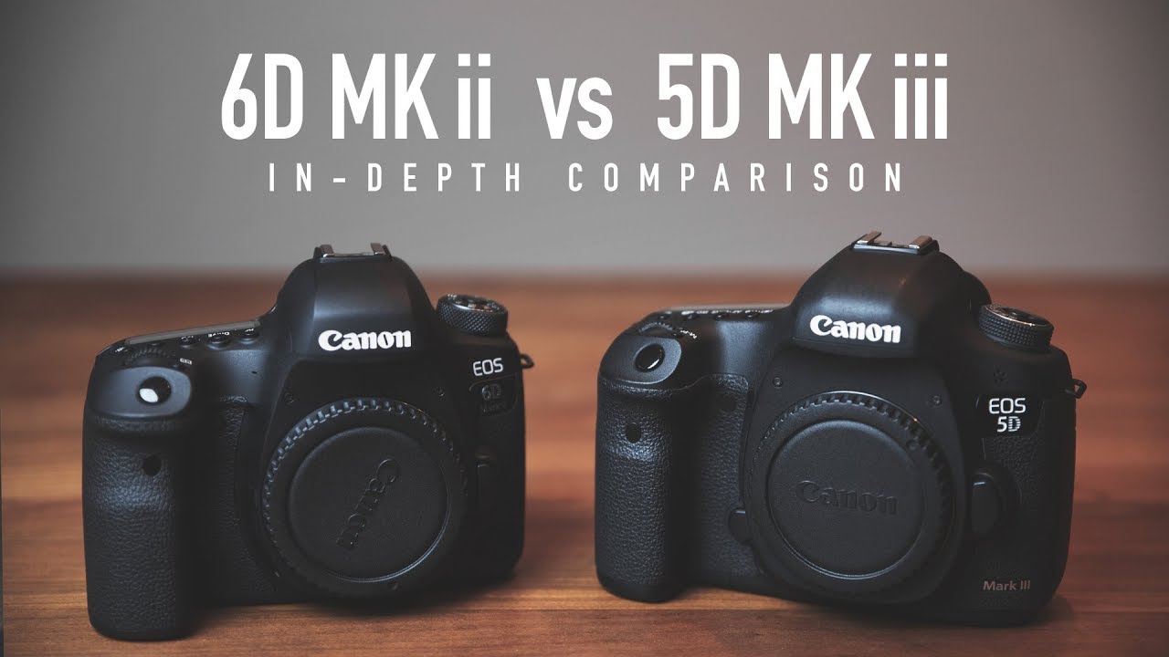 Neem de telefoon op Los tekort 5D Mark iii vs 6D Mark ii In-Depth Comparison - YouTube