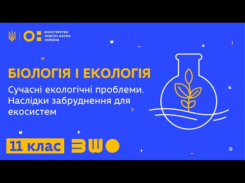 11 клас. Біологія. Сучасні екологічні проблеми. Наслідки забруднення для екосистем