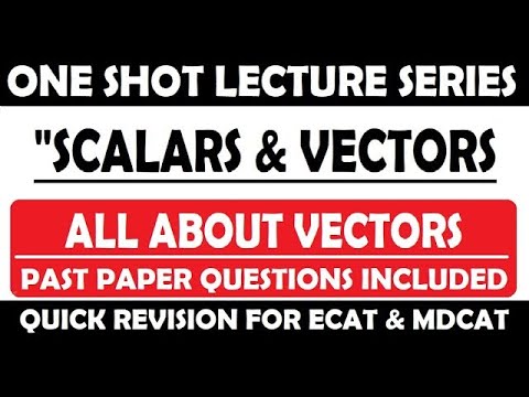Vectors in one shot || Vectors full chapter || ECAT || MDCAT || JEE ...