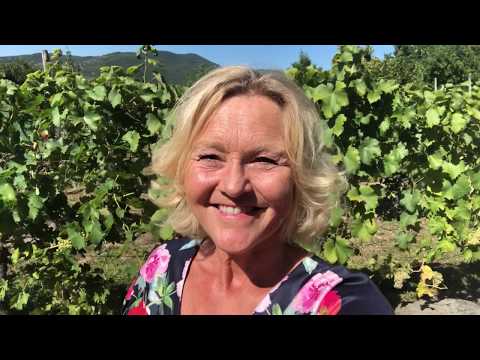 Video: Smart Vingård: Hvordan Du Planter Druer Riktig