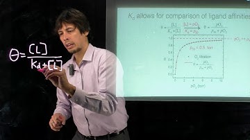 Topic 6.9 - The hyperbolic equation for ligand binding