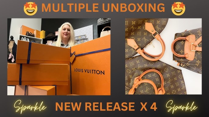 Louis Vuitton Melie Unboxing & Review 