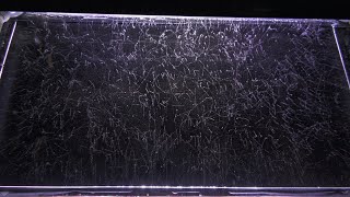 Electromagnetic shower at 2200 meters