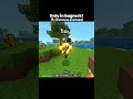 Actions and stuff only in bedrock #minecraft