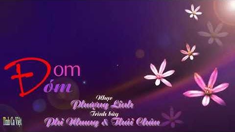 Đom Đóm , Ca sĩ Phi Nhung , Thái Châu , Sáng tác Phượng Linh