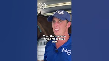 Quick Tips On Tying Your Horse In The Trailer! Part 3!  | The Horse Guru - Michael Gascon