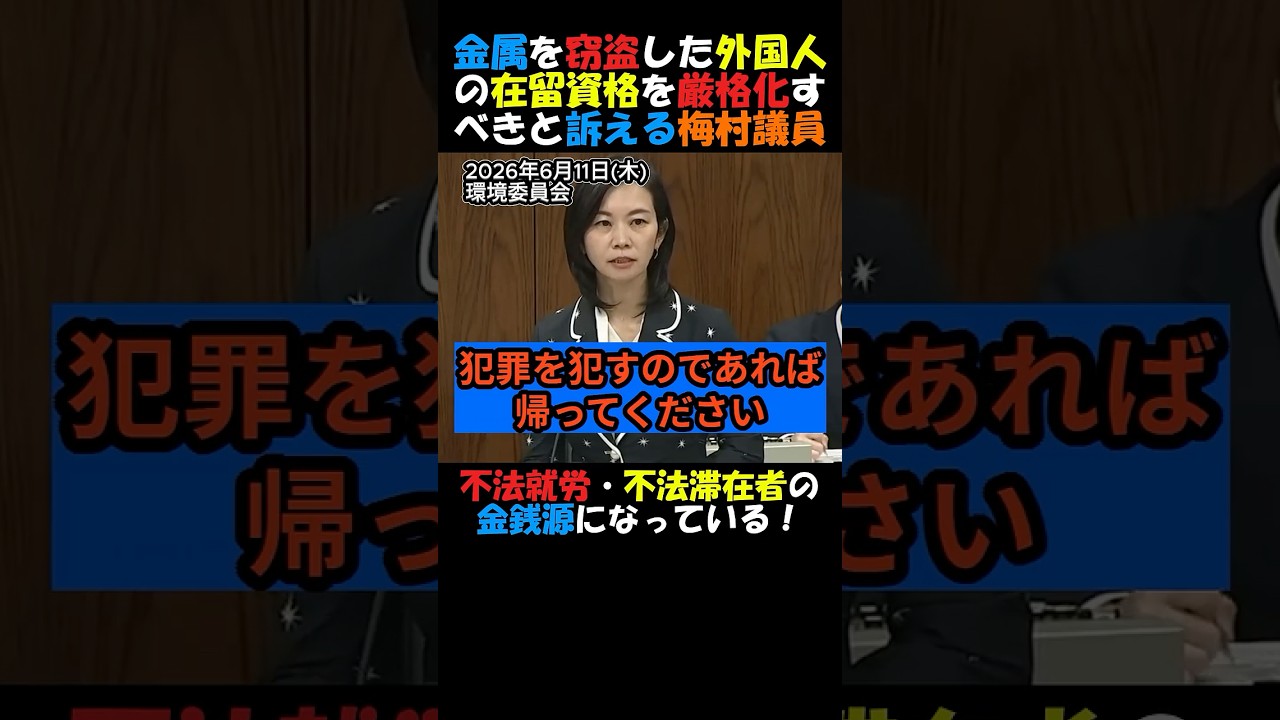 【外国人問題】#参政党 #梅村みずほ 金属を窃盗した外国人の在留資格を厳格化すべき!不法就労・不法滞在者の金銭源になっている!#政治ニュース #国会 #神谷宗幣 #外国人政策 #日本人ファースト